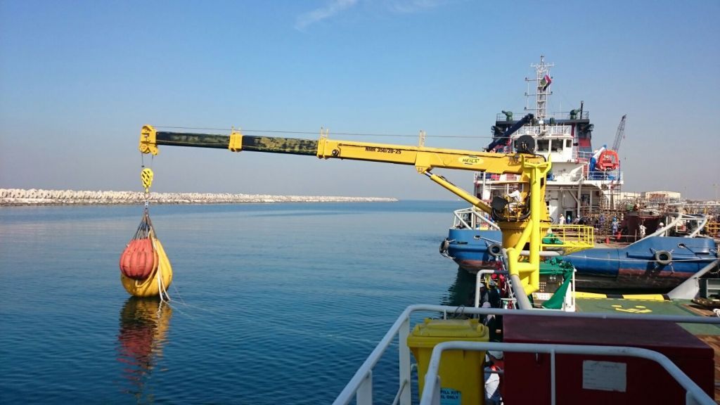 Telescopic Boom Crane